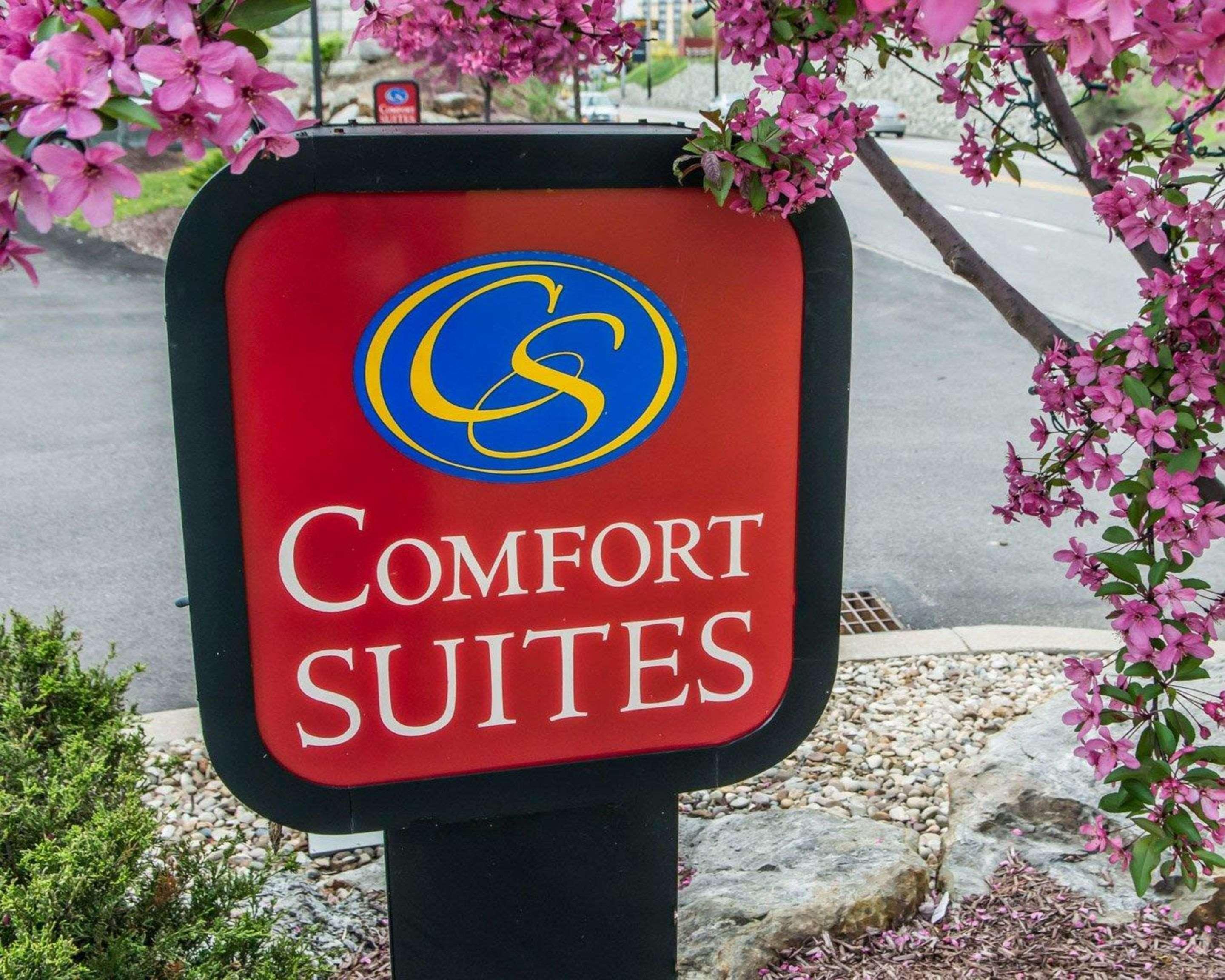 Comfort Hotel 3*