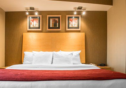 Comfort Hotel
