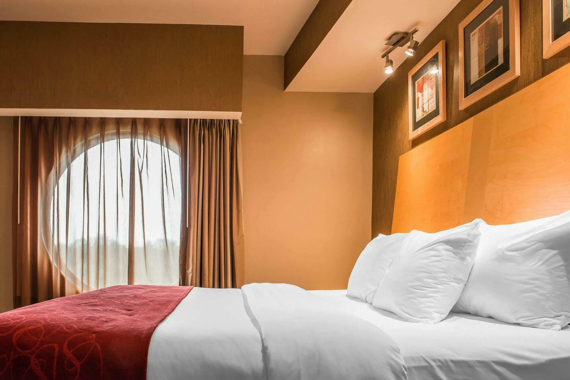 Comfort 3*