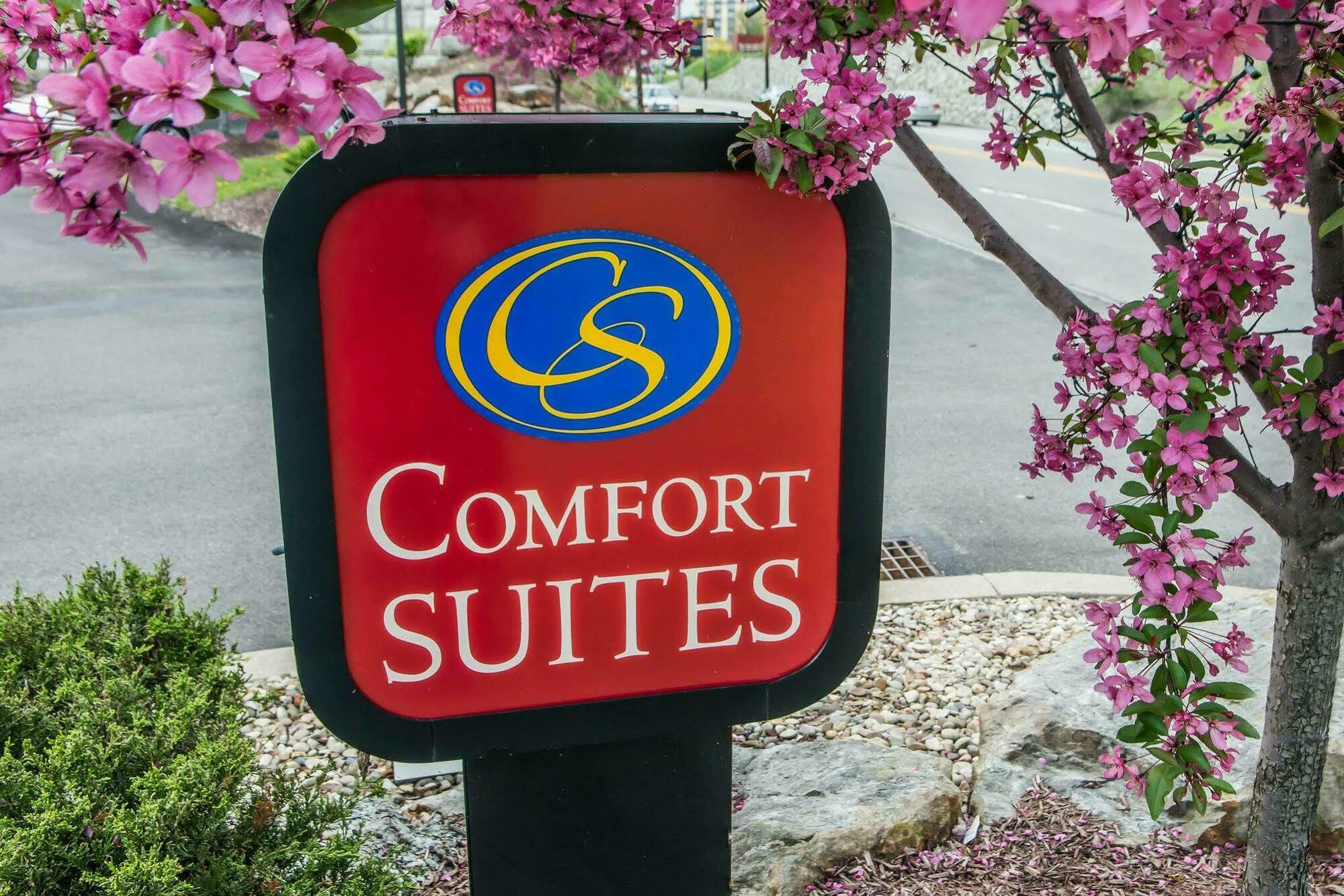 Comfort Hotel